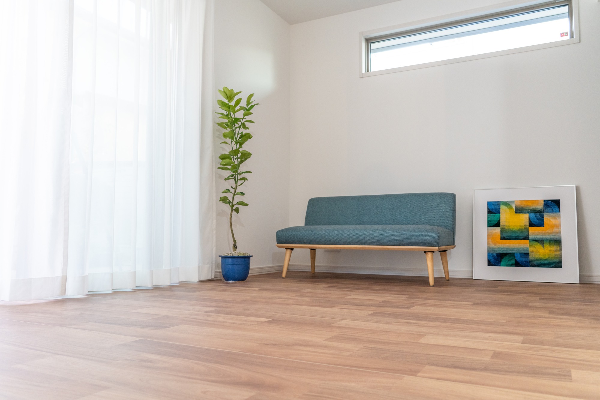 【新築住宅の窓で後悔しない】失敗しがちなポイント&解決策9選